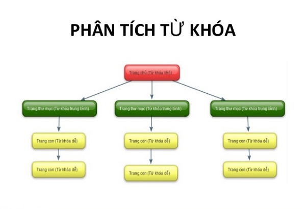 phan-tich-tu-khoa-seo-2