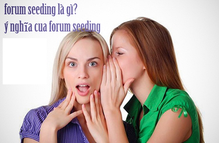 Forum seeding là gì